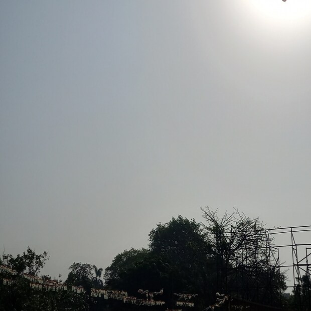 আলিপুরদুয়ারের রোদ ঝলমলে আকাশ। গরমও বাড়ছে। 