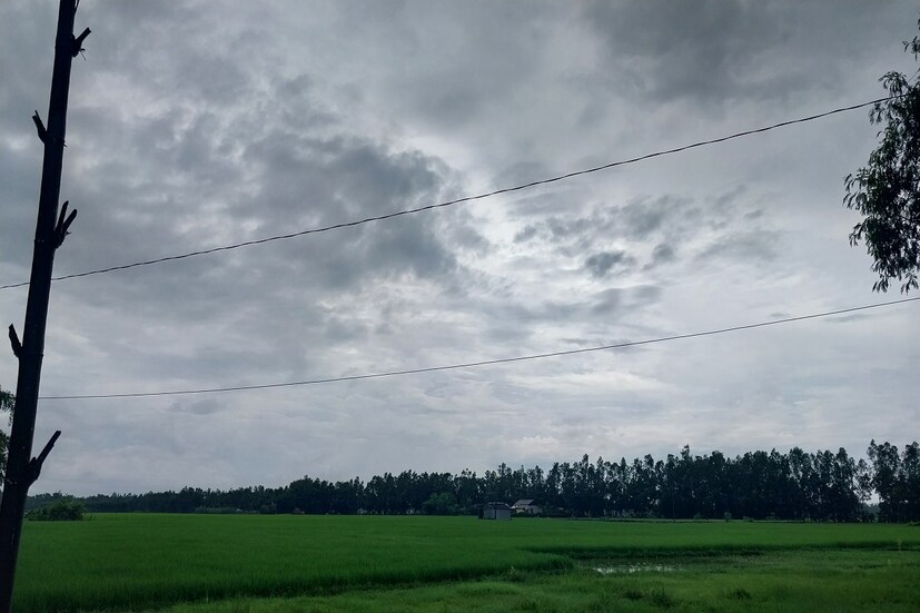 পাশাপাশি জেলার বিভিন্ন ব্লকেও সকাল থেকে হালকা এবং মাঝারি বৃষ্টি হচ্ছে। চলতি সপ্তাহে শনিবার পর্যন্ত বৃষ্টি হতে পারে জেলায়। হালকা এবং মাঝারি বৃষ্টির পূর্বাভাস দেওয়া হয়েছে দক্ষিণের জেলা গুলিতে। সেই মতো সোমবার ভোর রাত থেকে বৃষ্টি শুরু জেলায়।