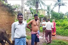 রাতের অন্ধকারে চলল তাণ্ডব, মুহূর্তে তছনছ হয়ে গেল সব, হাড়হিম করা ঘটনায় আতঙ্ক