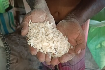 গ্রাম