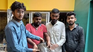 বাড়ির উঠানে বিশাল আকার পিকক সফটসেল কচ্ছপ