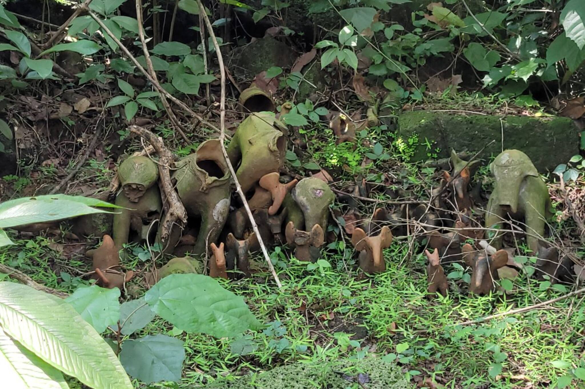 এখানে দুর্গাপুজো একদিনের, উ‍ৎসবের আনন্দে মেতে ওঠেন গ্রামবাসীরা