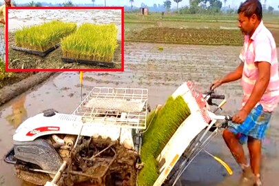 ধান রোপন মেশিন