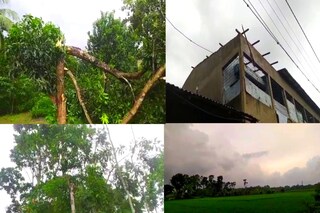 ঝড়ের তান্ডব