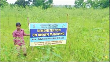 ধুঁইঞ্চাকে