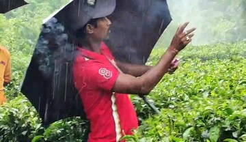 বাজি