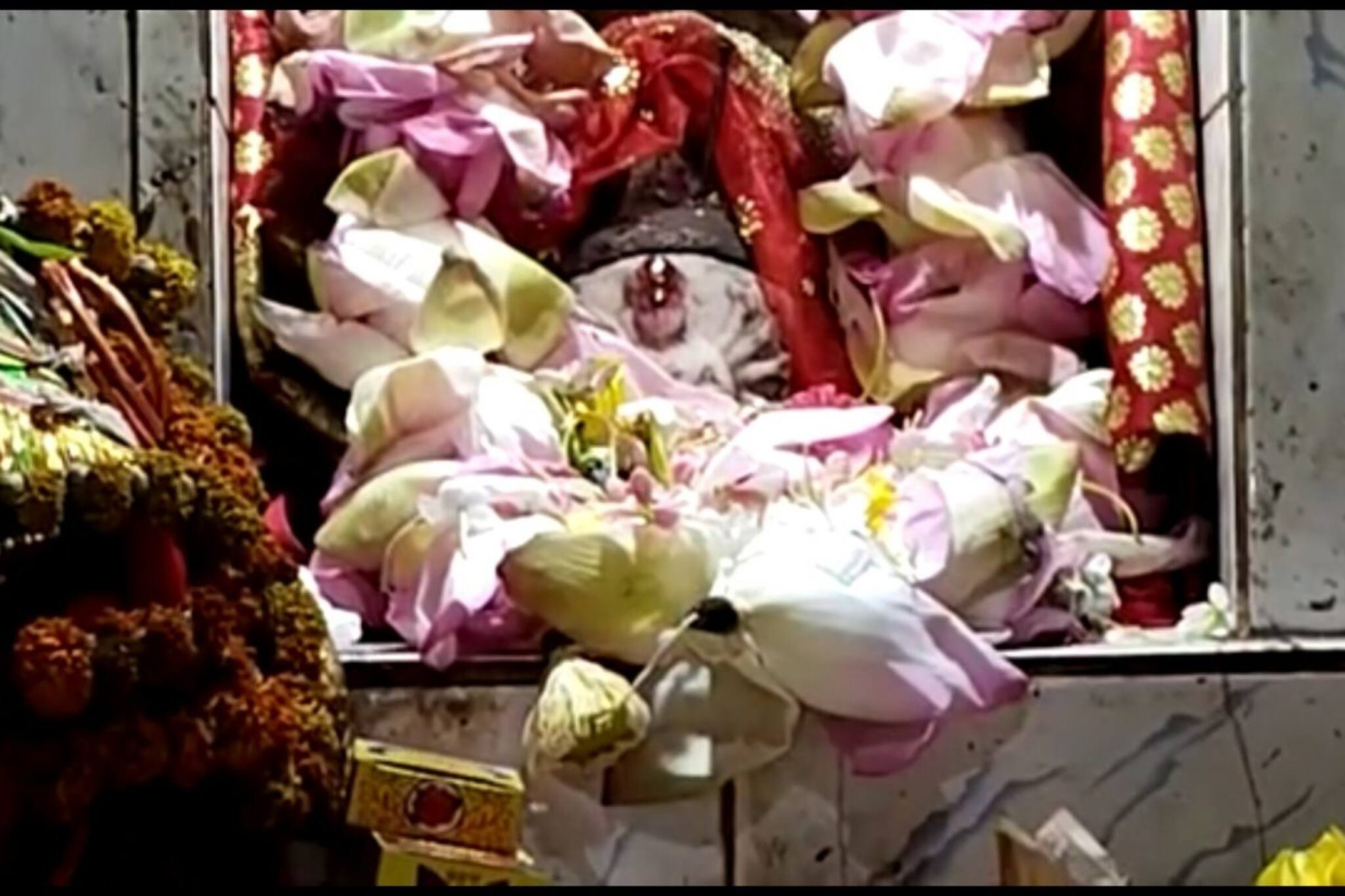 সন্ধিপুজোয় তোপধ্বনি, শারদো‍ৎসবে গভীর গড় জঙ্গলে পূজিত হন দেবী শ্যামারূপা