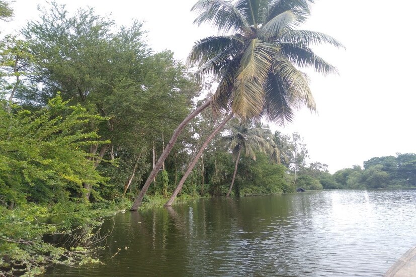  নদীর জোয়ারের সময় শিবলিঙ্গ উপরে উঠে আসে। এই মন্দিরের সঙ্গে কাঁসাই নদীর সংযোগ রয়েছে। আজও কাঁসাই নদীর জোয়ারের সময় শিবলিঙ্গ উপরে উঠে আসে আবার ভাটার সময় নিচে নেমে যায়।