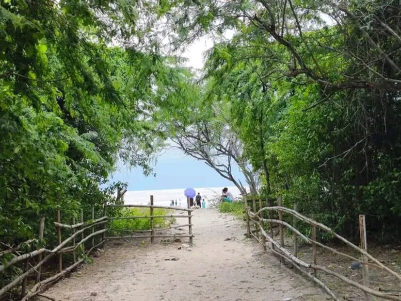 henry island, mangrove, sea beach, bakkhali,