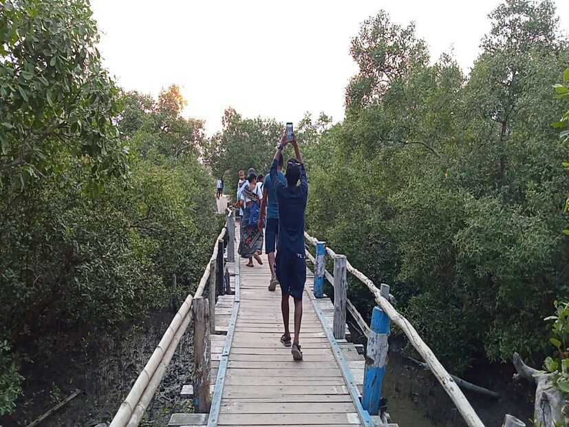 henry island, mangrove, bakkhali, sea beach,