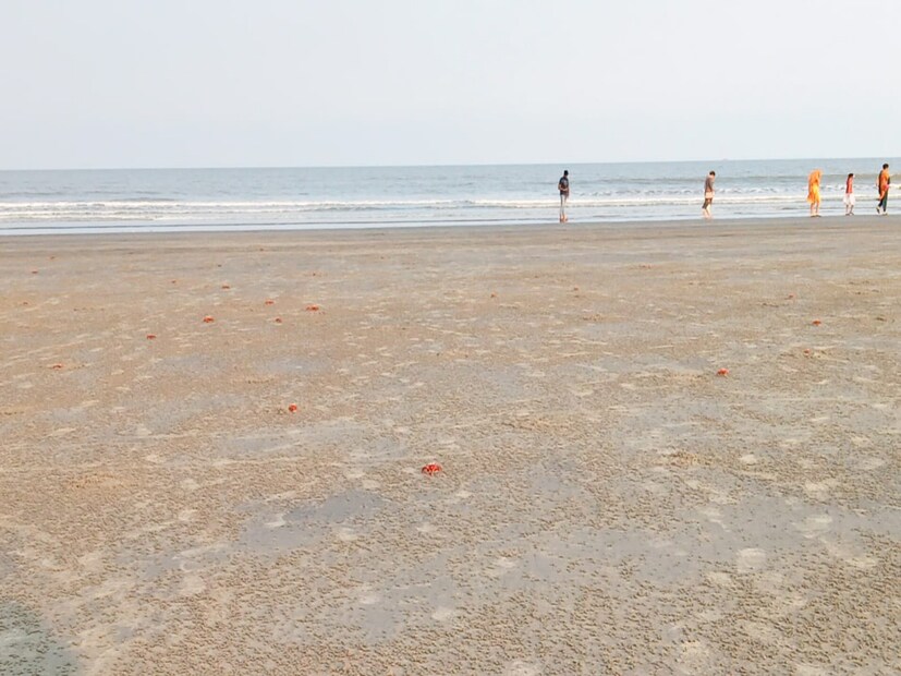 henry island, mangrove, bakkhali, sea beach,