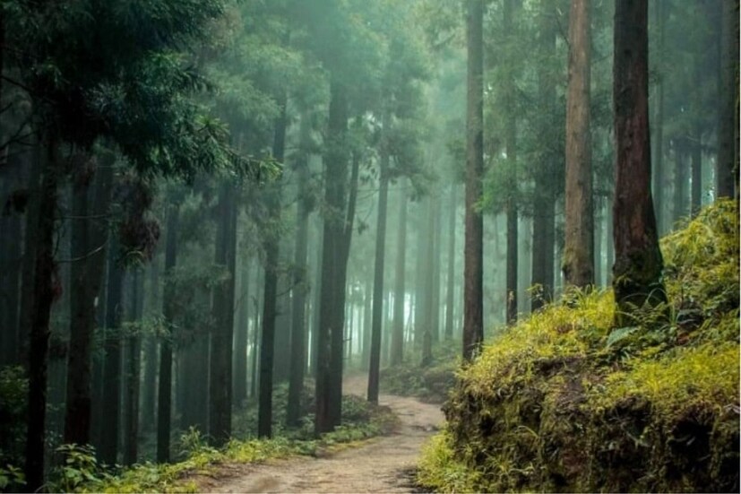 পুজোর ছুটিতে দার্জিলিং তো অনেক হল, কিন্তু দার্জিলিংয়ের পাশের কিছু অফবিট গ্রাম রয়েছে যেগুলি আপনার মন জয় করবে নিশ্চিত। তেমনি একটি গ্রাম হল লেপচাজগৎ। দার্জিলিং এর পাহাড়-ঘেরা এই গ্রামটি অফবিট লাভারদের কাছে এখন বেশ জনপ্রিয়। ব্রিটিশরা আসার পর পরিচিতি পেয়েছিল এই আদিবাসী গ্রাম।(লেখা ও ছবি: অনির্বাণ রায়)