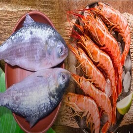 সাবধান! ভুল করেও খাবেন না চিংড়ির 'এই' একটি অংশ, হতে পারে মারাত্মক বিপদ...