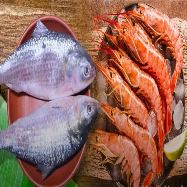 ইলিশ নাকি চিংড়ি? এই নিয়ে দুই বাংলার এক মিষ্টি তর্ক তো চিরকালই চলছে। তবে এটাও দেখা গিয়েছে যে বাঙাল-ঘটি নির্বশেষেই কখনও কখনও হয়ে উঠেছেন ইলিশ চিংড়ির ভক্ত।