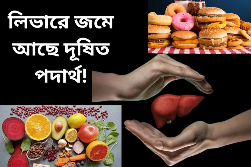 শরীর সুস্থ রাখতে লিভারের গুরুত্ব অপরিসীম৷ শরীর থেকে সমস্ত বিষাক্ত পদার্থ ছেঁকে ফেলার কাজ করে লিভার বা যকৃৎ৷ দেহের হরমোনের ক্ষরণ নিয়ন্ত্রণেও লিভারের বিশেষ ভূমিকা রয়েছে৷ কিন্তু বর্তমানে বাড়ছে লিভারের সমস্যা৷ অতিরিক্ত মদ্যপান, জাঙ্ক ফুড খাওয়া, জীবনযাপনে অনিয়ম-সহ আরও নানা কু-অভ্যাস লিভারের সমস্যা ডেকে আনছে৷