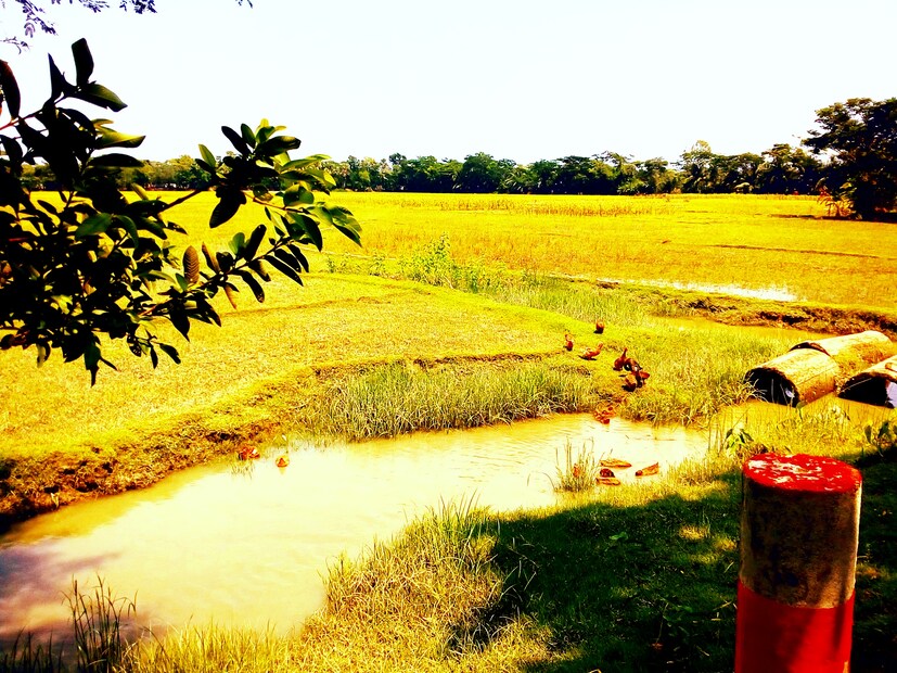 গোটা গ্রামে শুধু পুরুষররাই থাকেন। এই গ্রামে নেই কোনও নারী। এই গ্রামের পুরুষেরা কখনও বিয়েও করেন না। চিরকুমার থাকেন। 