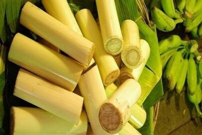 থোড়ের উপকারিতা