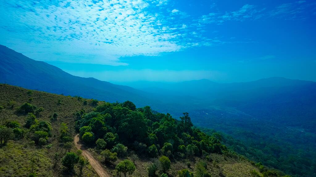 (Photo Courtesy: Kerala Tourism)