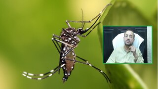  ডেঙ্গি পরিস্থিতির ওপর সরাসরি নজর রাখছে কলকাতা পুরসভা