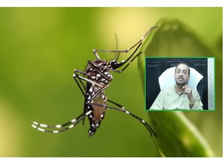  ডেঙ্গি পরিস্থিতির ওপর সরাসরি নজর রাখছে কলকাতা পুরসভা