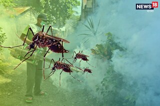 প্রতীকী ছবি