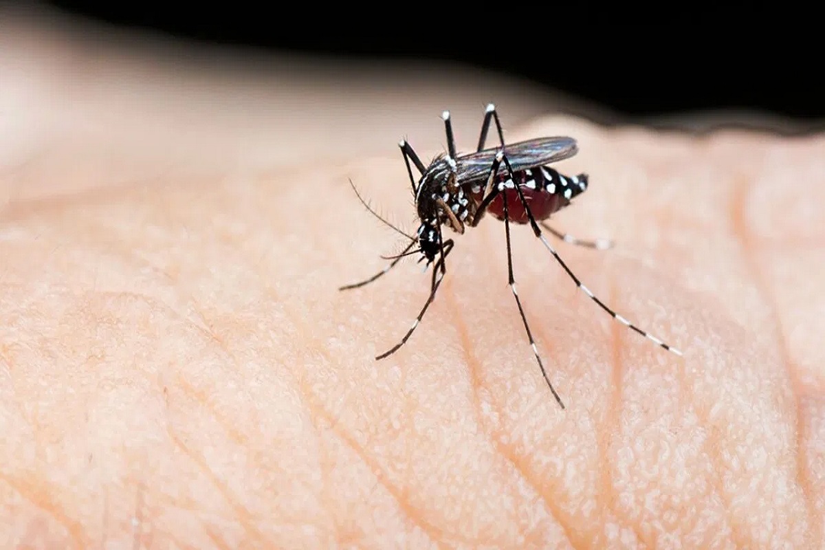 নতুন আতঙ্ক ‘কোভিডেঙ্গি’, চিকিৎসকরা বলছেন, দুই রোগের মারণ থাবা রাজ্যজুড়ে নতুন আতঙ্ক ‘কোভিডেঙ্গি’, চিকিৎসকরা বলছেন, দুই রোগের মারণ থাবা রাজ্যজুড়ে