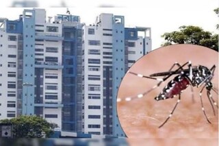 পুজোর মুখে ভয়াবহ আকার নিচ্ছে ডেঙ্গি
