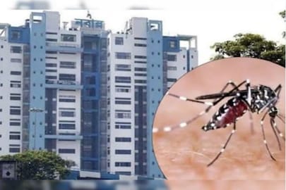 পুজোর মুখে ভয়াবহ আকার নিচ্ছে ডেঙ্গি