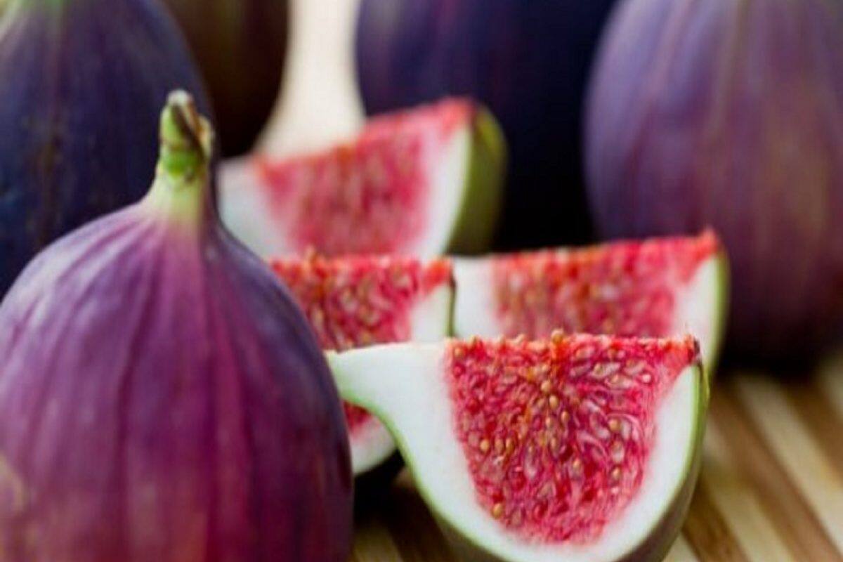 Fig Fruit Health Benefits পাইলসের কষ্ট কমাতে এই গ্রাম্য ফলের বিরাট ...