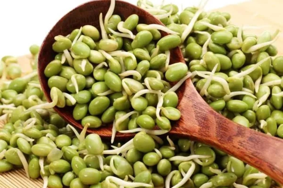Moong Sprouts for Weight Loss থলথলে চর্বি কমাতে দিনরাত 'স্প্রাউট