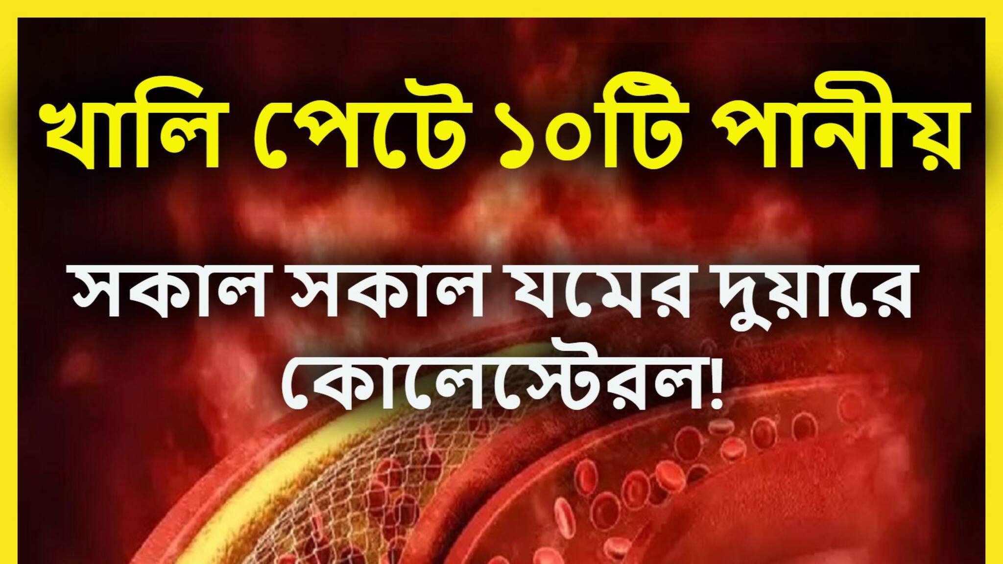 High Cholesterol Control Tips: কোলেস্টেরল পালাবে বাপবাপ বলে! সকালে খালি পেটে ১০টি পানীয় রামবাণ, কমবে হার্ট অ্যাটাকের ঝুঁকি