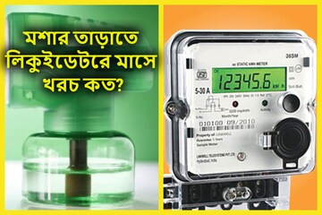 মশা তাড়াতে পকেট ফাঁকা! লিকুইডের জন্য মাসে বিদ্যুতের বিলে ফতুর? ভেবেছেন আগে!