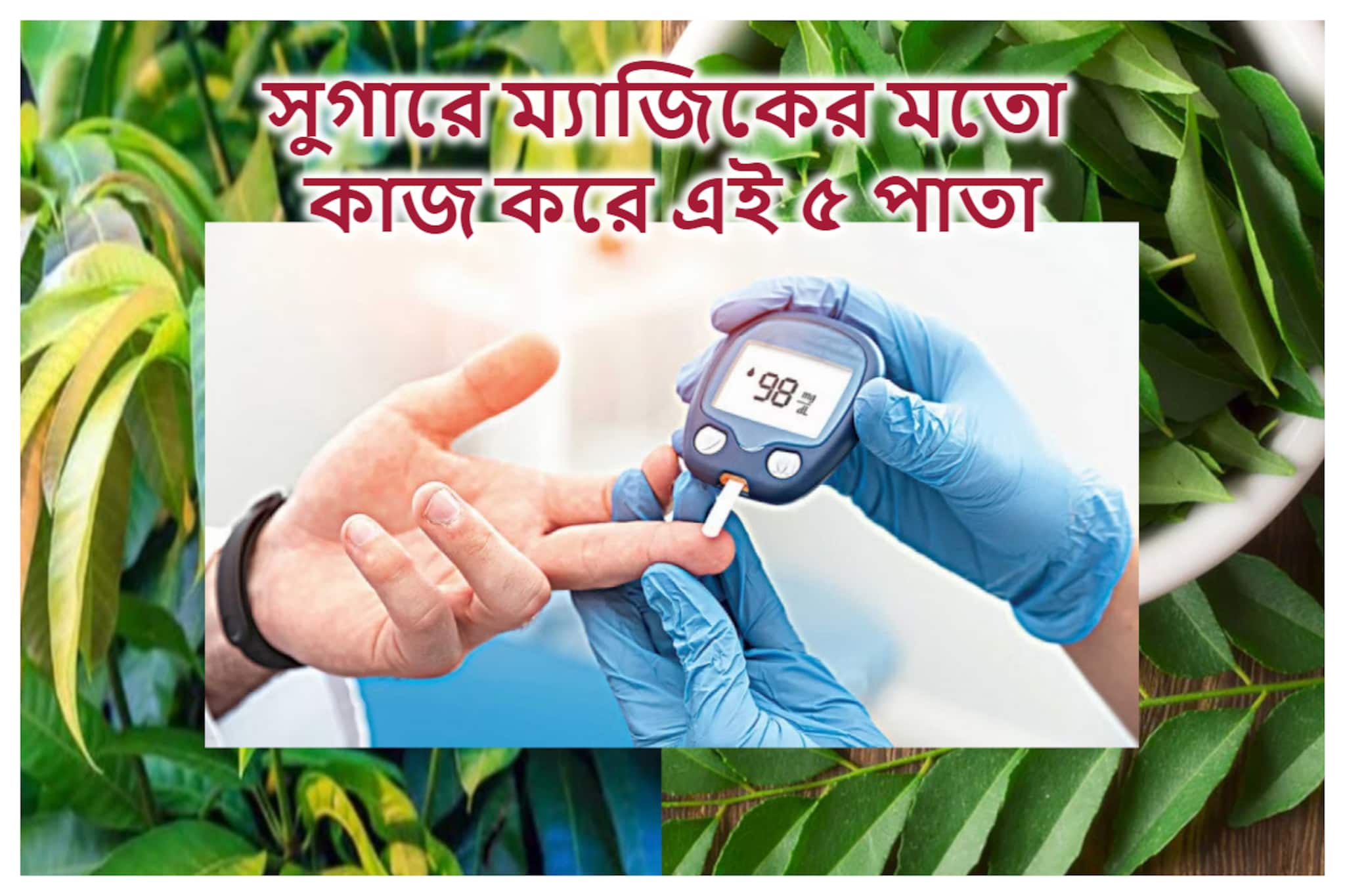 Diabetes control: খালি পেটে চিবিয়ে খান এই ৫ পাতা, ডায়াবেটিসে ম্যাজিকের মতো কাজ করে আয়ুর্বেদের এই টোটকা