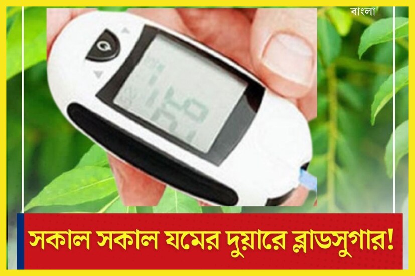 কারিপাতার গুণ অত্যন্ত ৷ খাবারে ব্যবহার থেকে ওষুধের মত কারিপাতা অত্যন্ত পরিমাণে ব্যবহৃত হয়ে থাকে ৷ প্রতীকী ছবি ৷