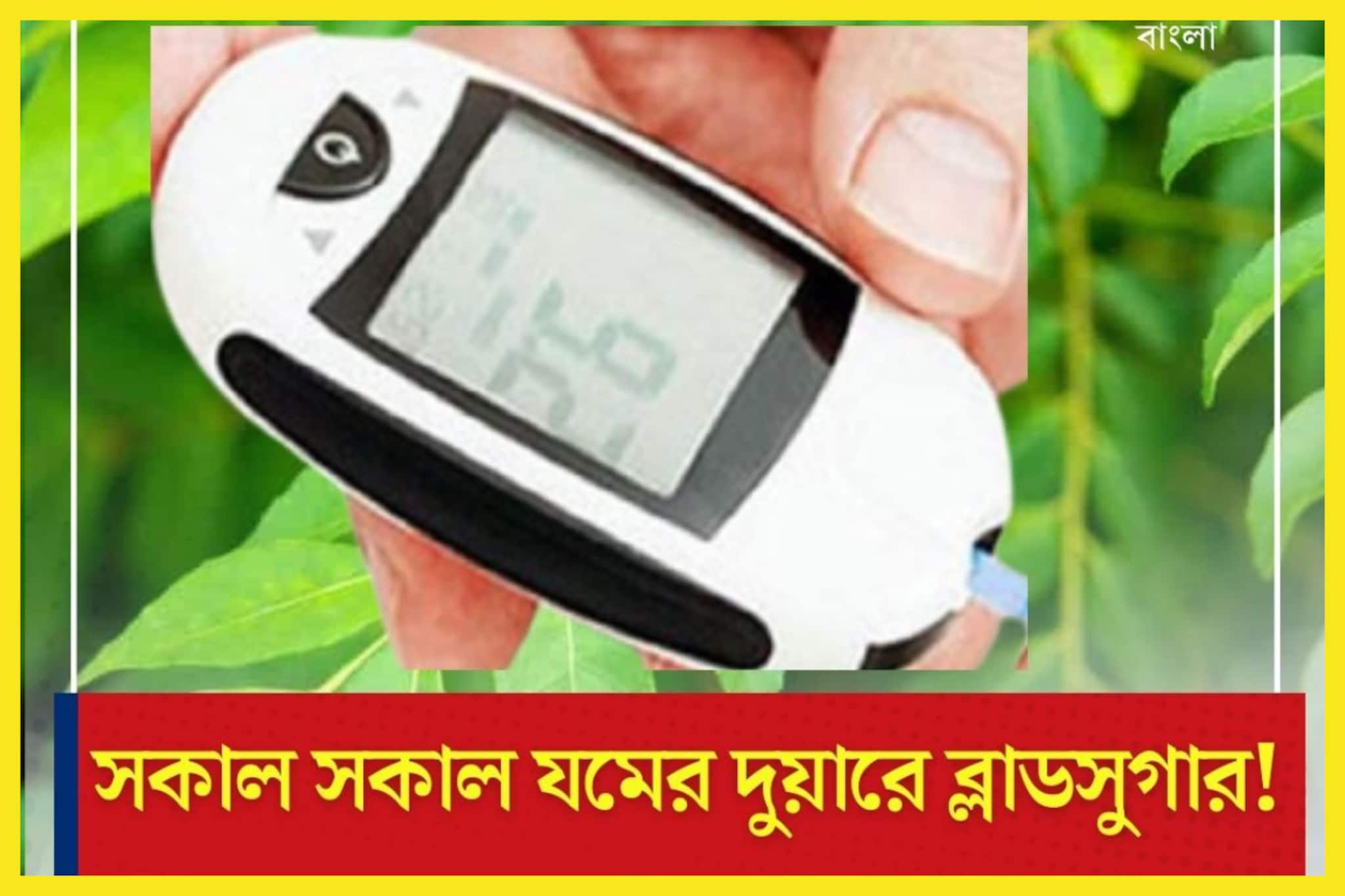 High Blood Sugar Control Tips: ৫টি পাতার ৫ কোটি গুণ! সকাল সকাল খালি পেটে চিবিয়ে নিলেই যমের দুয়ারে ব্লাডসুগার, ম্যাজিক বললেও কম