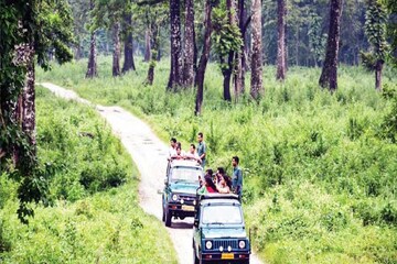 পর্যটকদের