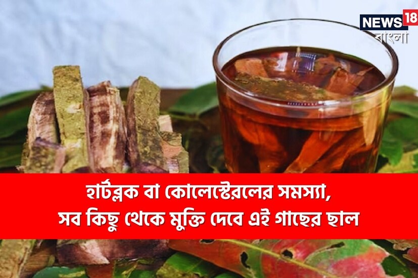 অস্বাস্থ্যকর জীবনযাপন এবং অনিয়মিত খাদ্যাভ্যাস বর্তমানে অনেক মারাত্মক রোগের কারণ হয়ে উঠছে। বিশেষ করে হার্ট সংক্রান্ত সমস্যা এখন যেন প্রায় প্রতিটি ঘরেই দেখতে পাওয়া যায়। এই রোগগুলিকে বিশ্বব্যাপী সমস্যা হিসেবেই দেখা হচ্ছে। সারা বিশ্বে প্রতিদিন কত মানুষ এই রোগের শিকার হচ্ছে তা গণনা করা সম্ভব নয়। এর থেকে উপশম পেতে অনেকেই নানা ধরনের অ্যালোপ্যাথিক ওষুধ খান, তবুও সমস্যা দূর হয় না। সেক্ষেত্রে রোগীরা আয়ুর্বেদের সাহায্য নিতে পারেন।