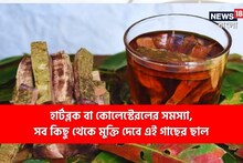 হার্টব্লক বা কোলেস্টেরলের সমস্যা, সব কিছু থেকে মুক্তি দেবে এই গাছের ছাল