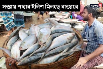 এমন সুযোগ কমই আসে! বাজারে সস্তায় মিলছে ঝাঁকে ঝাঁকে পদ্মার ইলিশ, কিনতে বিরাট ভিড়