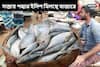 এমন সুযোগ কমই আসে! বাজারে সস্তায় মিলছে ঝাঁকে ঝাঁকে পদ্মার ইলিশ, কিনতে বিরাট ভিড়