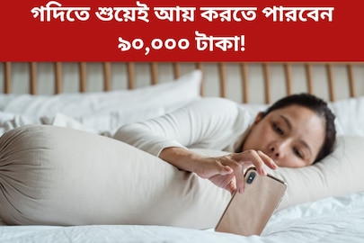 অলস বলে বদনাম? গদিতে শুয়েই আয় করতে পারবেন ৯০,০০০ টাকা! জানেন কীভাবে?