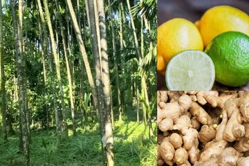 অবাক
