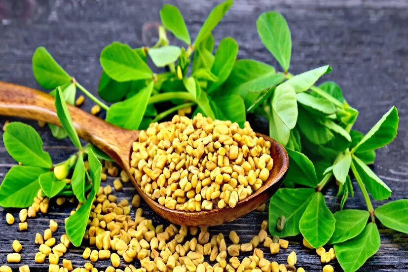 ভারতীয় মশলার গুণ প্রচুর। রান্নার স্বাদ বাড়ানোর পাশাপাশি এর অন্যান্য গুণও অস্বীকার করা যায় না। প্রতিটি মশলার মধ্যে আছে একাধিক প্রাকৃতিক ও ভেষজ গুণ।