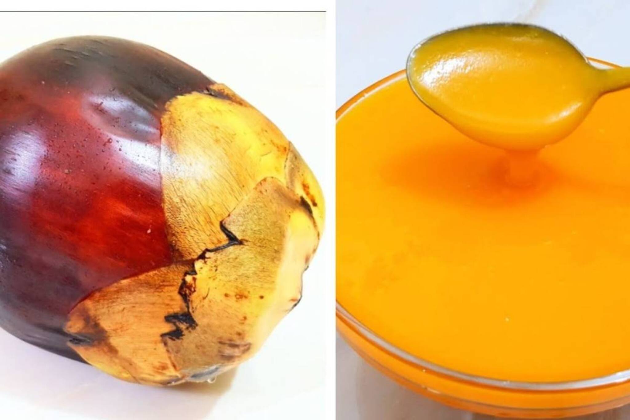 তাল তিতকুটে হলে বড়ার স্বাদই মাটি! জানুন বাজার থেকে ভাল পাকা তাল কেনার টিপস