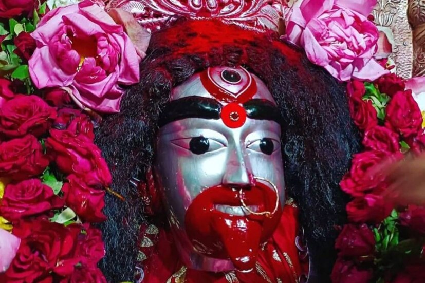 আজ, বৃহস্পতিবার কৌশিকী অমাবস্যার পুণ্যতিথি৷ শাক্তধারা ও তন্ত্র মতে এই তিথি অত্যন্ত গুরুত্বপূর্ণ৷ তারাপীঠ-সহ সব কালীতীর্থে আজ সাড়ম্বরে পালিত হয় এই দিনটি৷