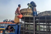 মুরগির গাড়ির উপর বসে তাঁরা, হঠা‍ৎ লুটিয়ে মাটিতে! বিদ্যুতের তারে মর্মান্তিক ঘটনা