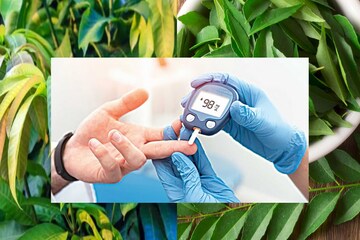 খালি পেটে চিবিয়ে খান এই ৫ পাতা! ডায়াবেটিসে কাজ করে ম্যাজিকের মতো
