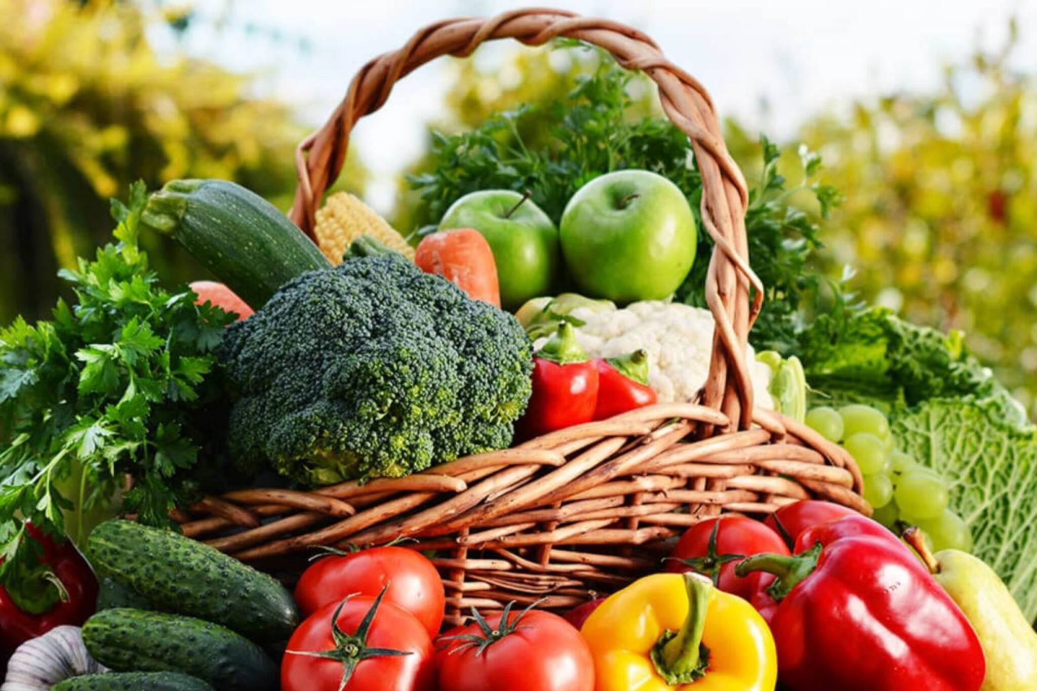 ফিতাকৃমি ঢুকতে পারে শরীরে! এই সবজিগুলি কাঁচা খাবেন না, রান্নার আগে দেখুন ভাল করে