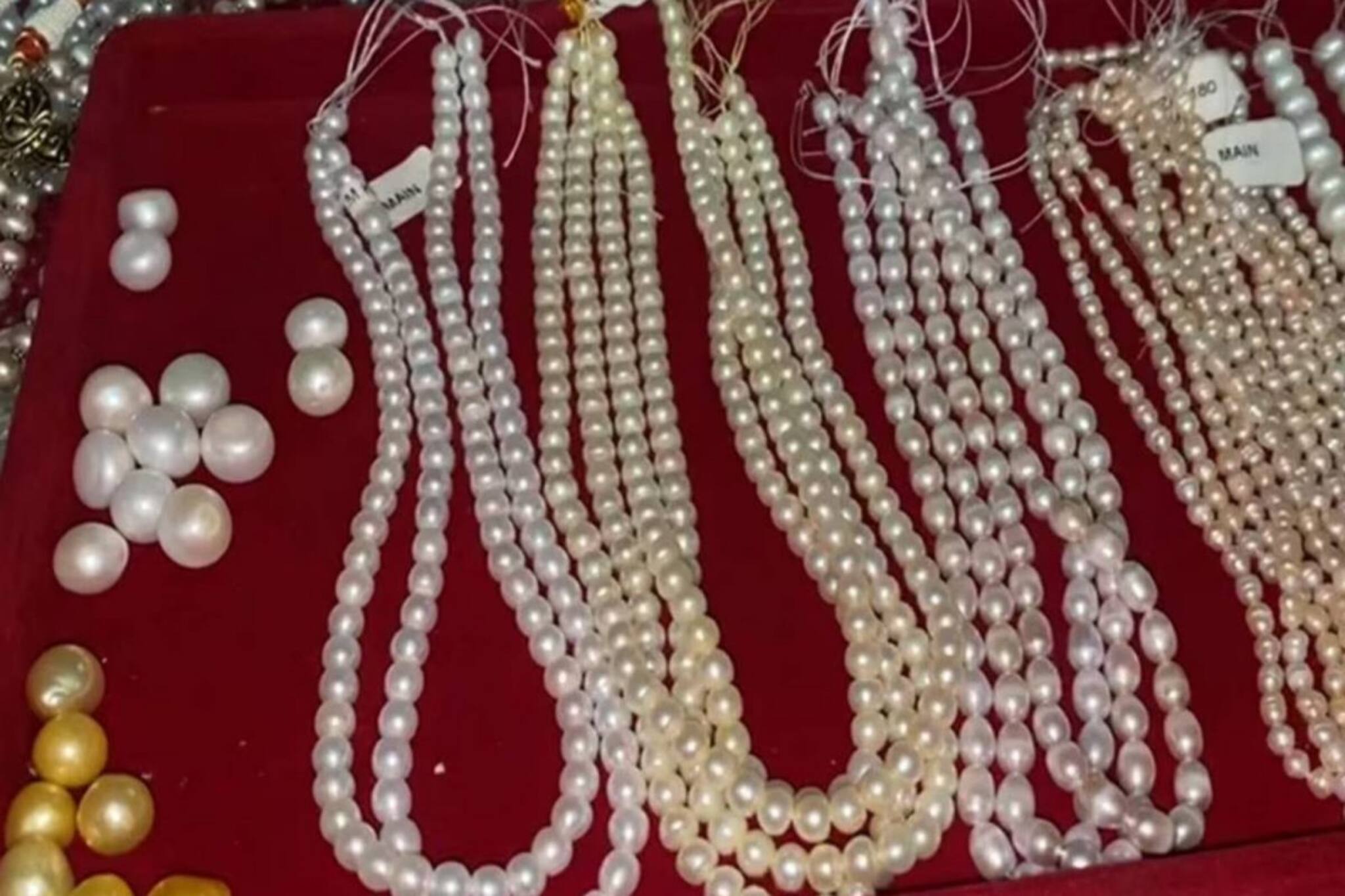 বাড়িতে জলের ট্যাঙ্কে মুক্তো চাষ করে কোটিপতি কৃষক