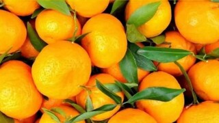 কমলালেবুর মধ্যেই কোথাও লুকিয়ে রয়েছে একটি ফুল